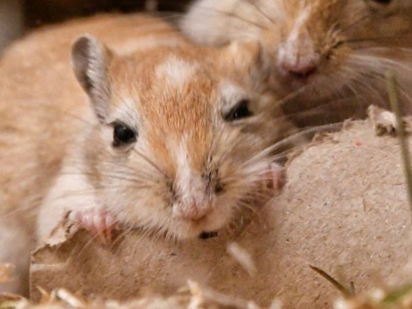 Every Step of the&nbsp;Way