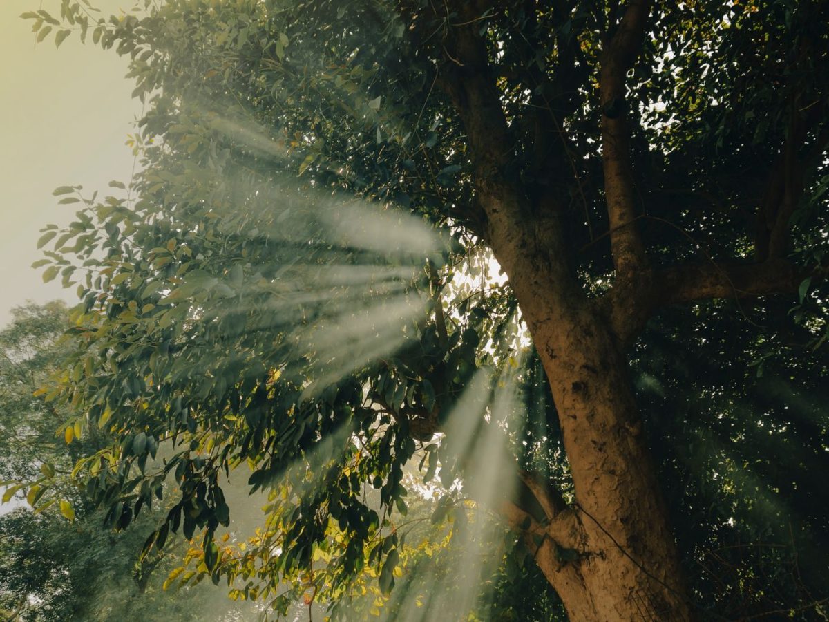 Father Church, Mother&nbsp;Earth